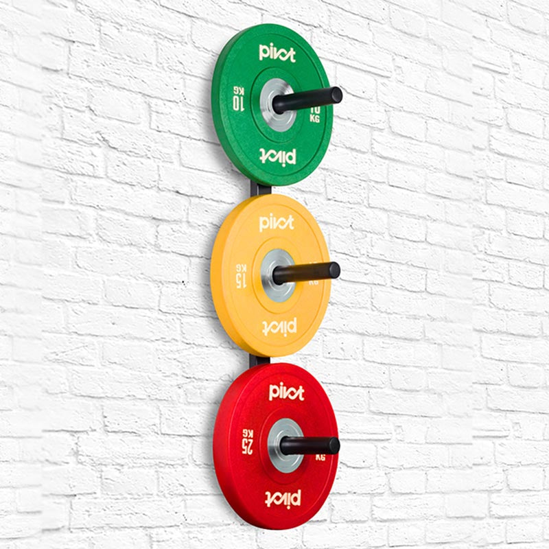 Wall Mounted Plates Rack - Gymless