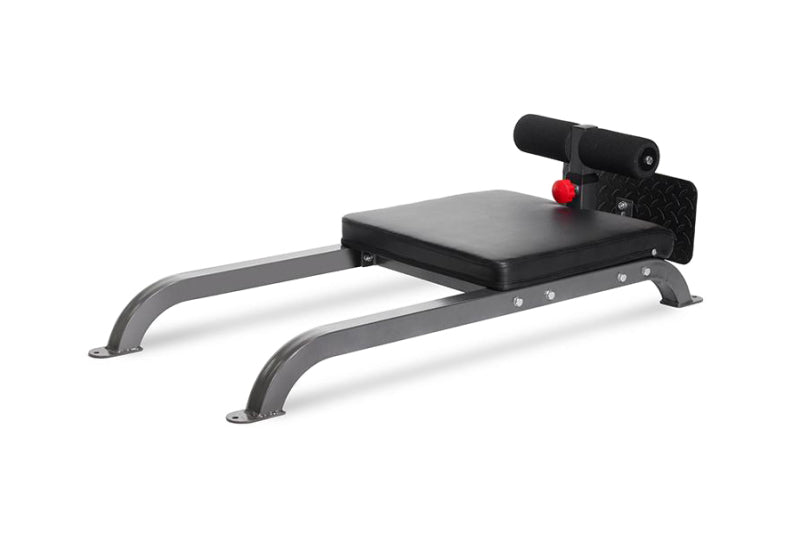 Floor Glute Ham Developer 618 GHD