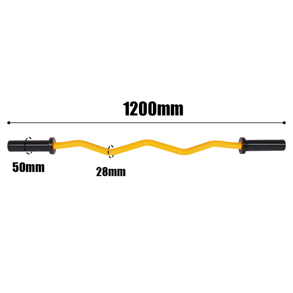 GYMLESS Olympic EZ Curl Bar – 1200mm (10kg)