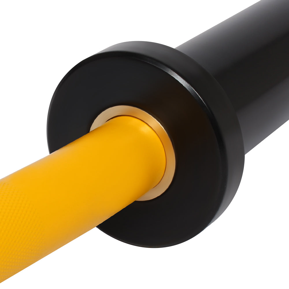 GYMLESS Olympic EZ Curl Bar – 1200mm (10kg)
