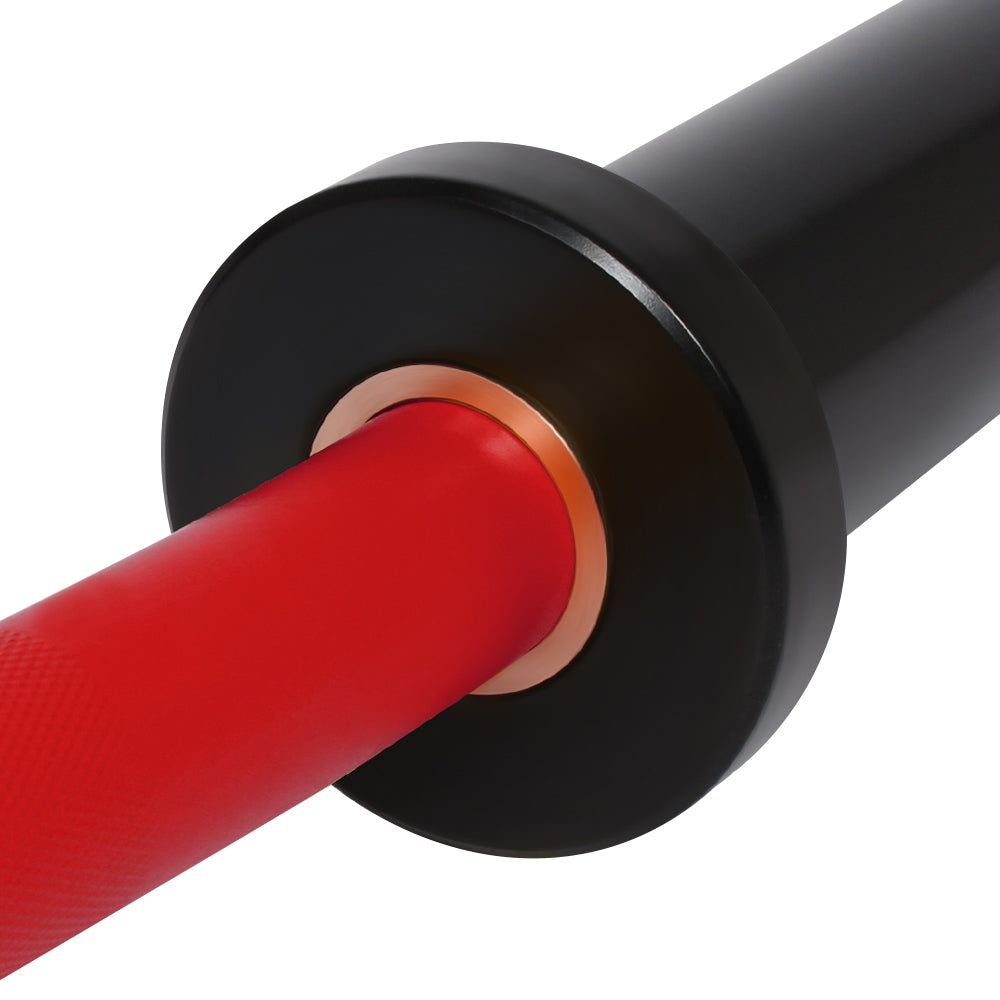 GYMLESS Olympic EZ Curl Bar – 1200mm (10kg)