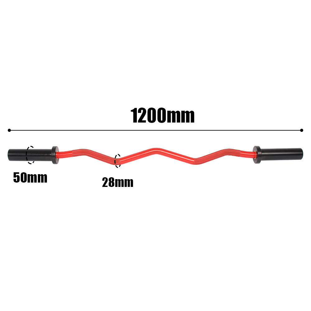 GYMLESS Olympic EZ Curl Bar – 1200mm (10kg)