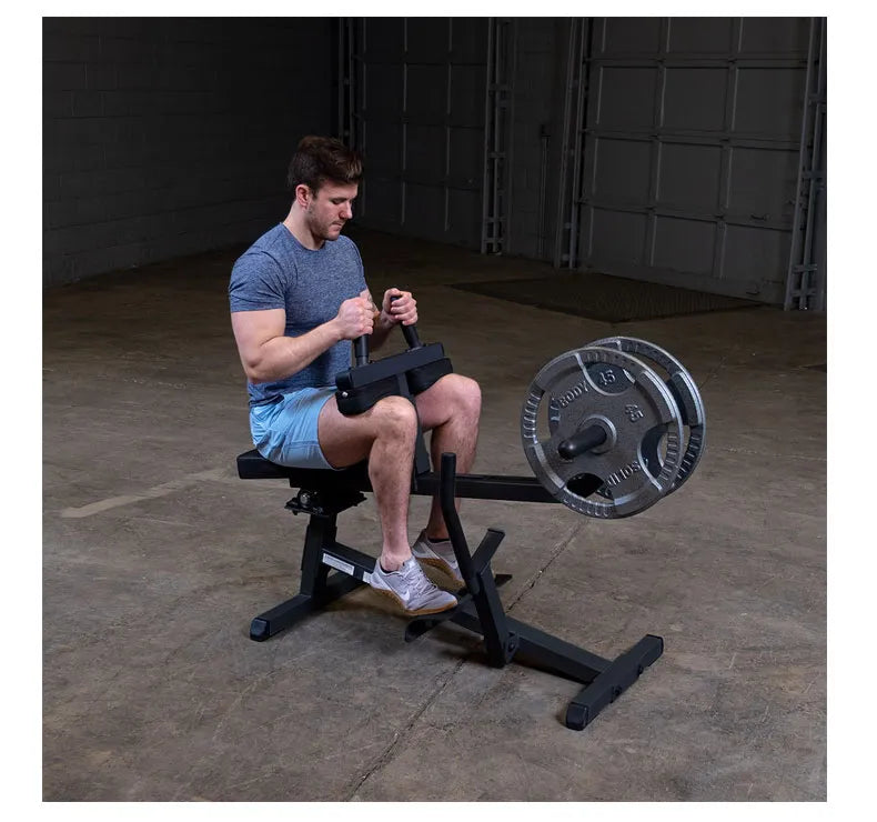 Bodysolid Seated Calf Raise GSCR349B