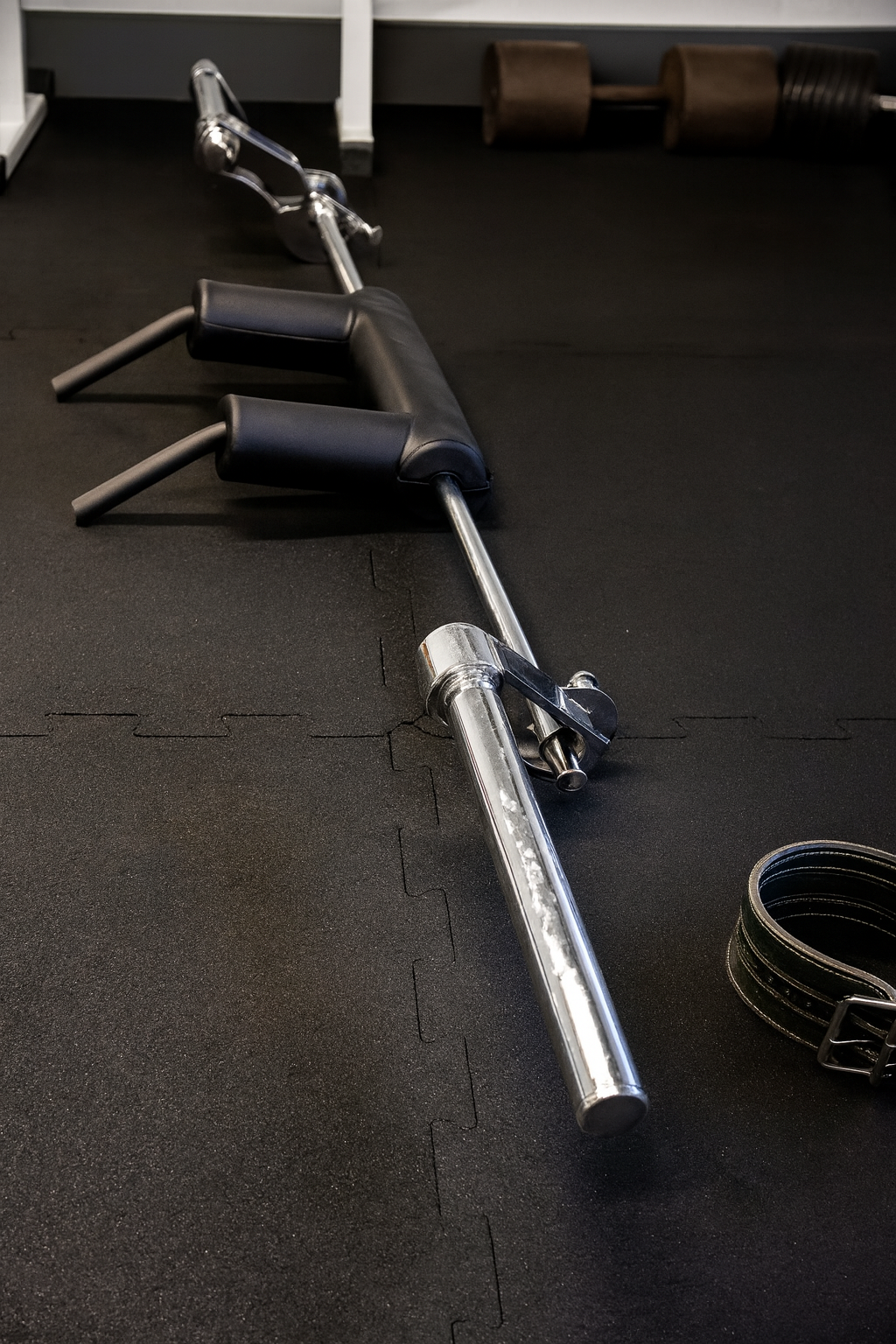 Olympic Adjustable Safety Squat Bar