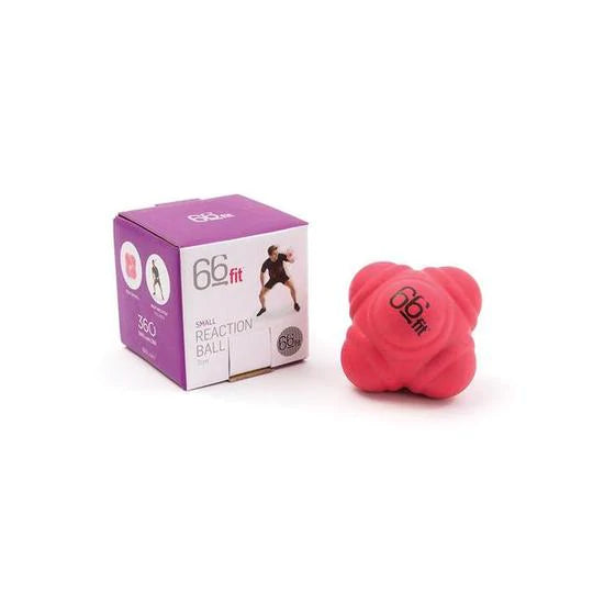 66fit Speed Reaction Balls
